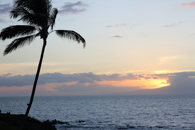 Maui2012050.jpg