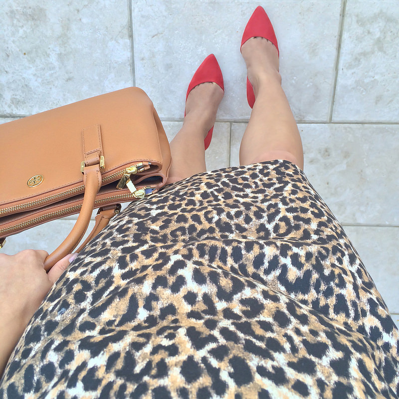 FWIS - leopard and red