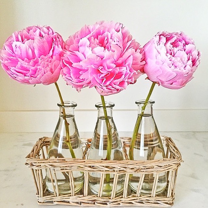 Pink Peonies glass vase basket 